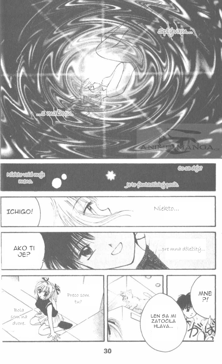 Tokyo Mew Mew 22.jpg